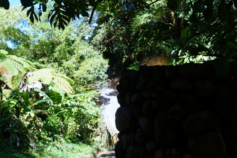 Перворазники на Карибах: круиз на P&O Ventura