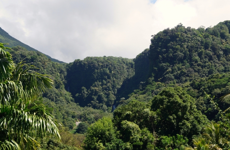 Перворазники на Карибах: круиз на P&O Ventura