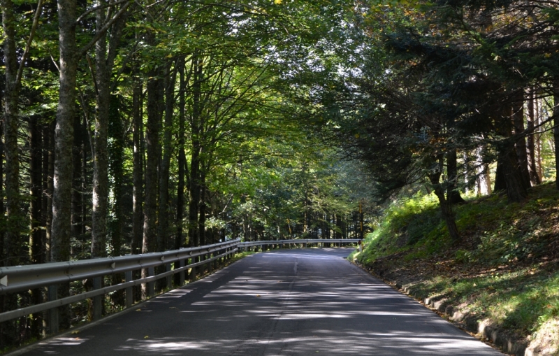 Тоскана октябрь 14 на арендованном авто