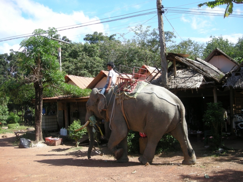 Тай-Ко Ланта дек 2014