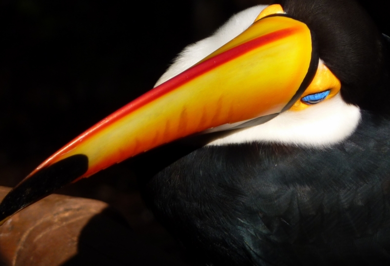 Как я купил мотоцикл в Бриджпорте, и проехал на нём по Америке.