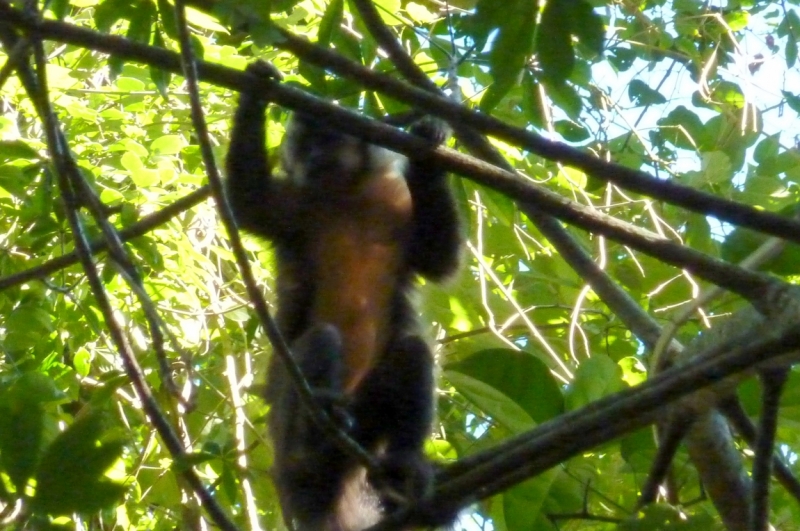 Как я купил мотоцикл в Бриджпорте, и проехал на нём по Америке.