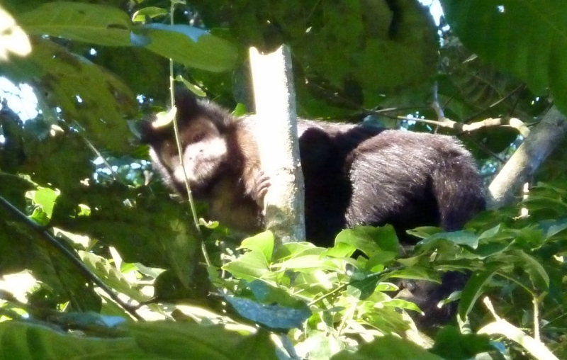 Как я купил мотоцикл в Бриджпорте, и проехал на нём по Америке.