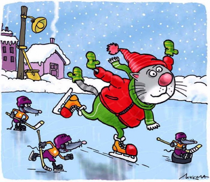 Поговорим о кошках31