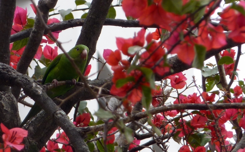 Как я купил мотоцикл в Бриджпорте, и проехал на нём по Америке.