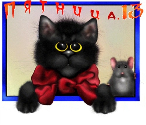 Поговорим о кошках31