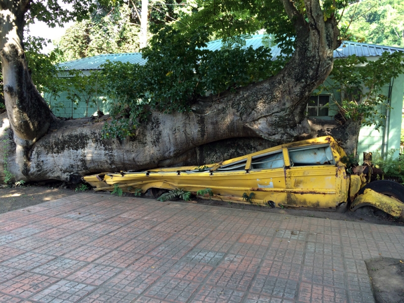 Все острова давным-давно открыты: трансатлантика Costa Fortuna на Карибы, декабрь 2014