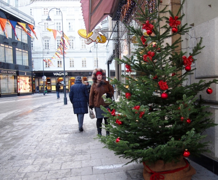 Новый 2015 год в Вене.