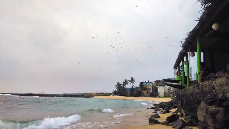 Культурный треугольник на мотобайках + пляжи Хиккадува - Матара (много фото)
