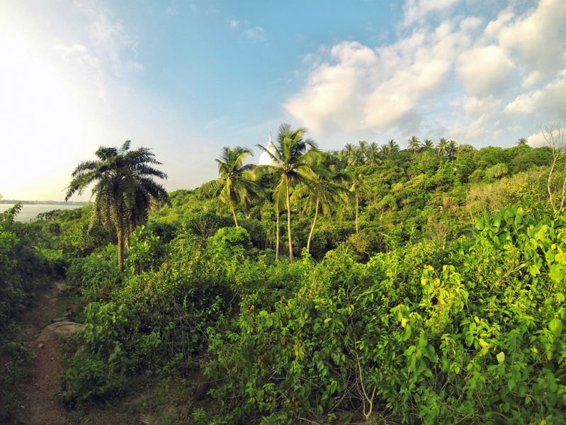 Культурный треугольник на мотобайках + пляжи Хиккадува - Матара (много фото)