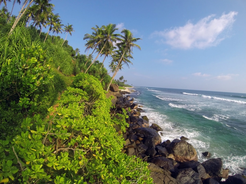Культурный треугольник на мотобайках + пляжи Хиккадува - Матара (много фото)