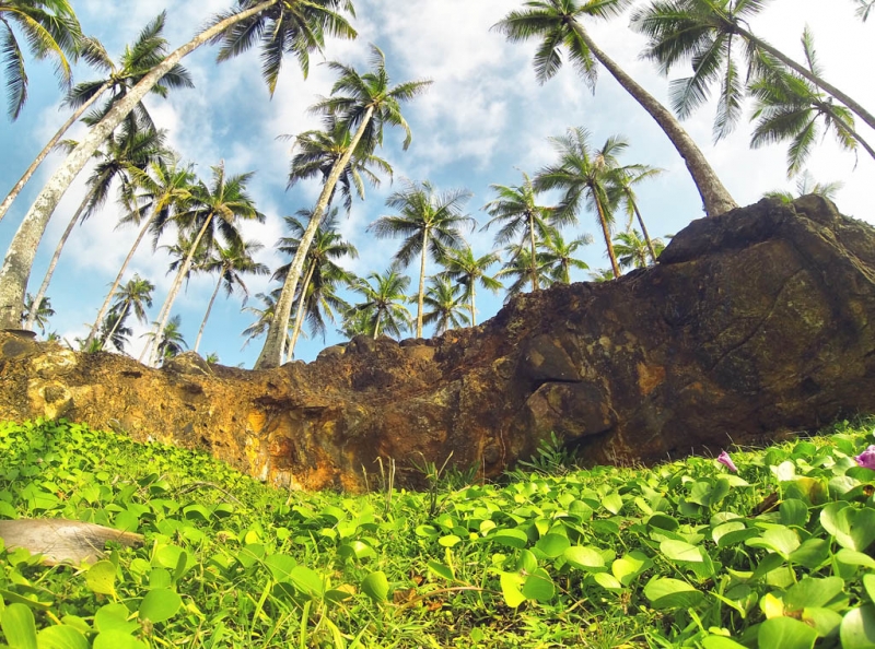 Культурный треугольник на мотобайках + пляжи Хиккадува - Матара (много фото)