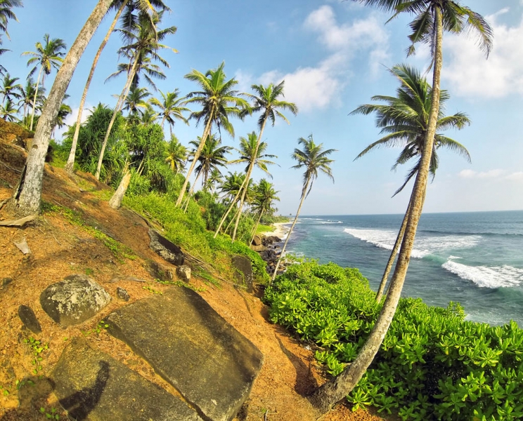 Культурный треугольник на мотобайках + пляжи Хиккадува - Матара (много фото)