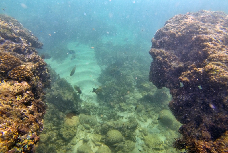 Культурный треугольник на мотобайках + пляжи Хиккадува - Матара (много фото)