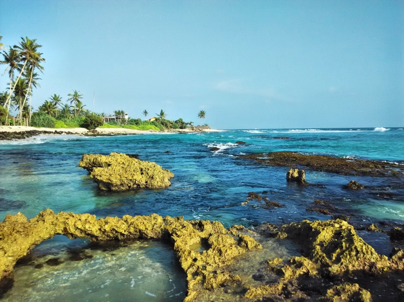 Культурный треугольник на мотобайках + пляжи Хиккадува - Матара (много фото)
