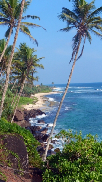 Культурный треугольник на мотобайках + пляжи Хиккадува - Матара (много фото)