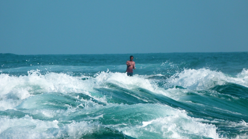 Культурный треугольник на мотобайках + пляжи Хиккадува - Матара (много фото)