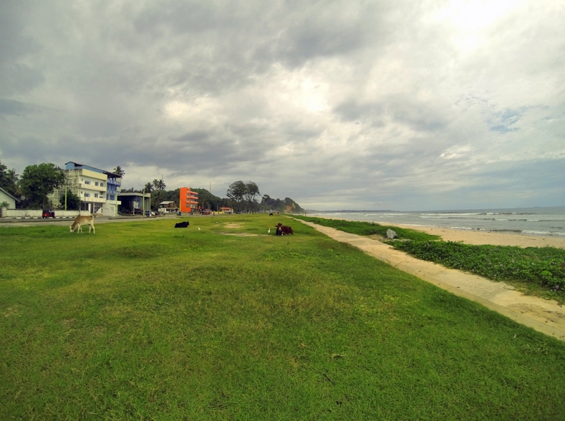 Культурный треугольник на мотобайках + пляжи Хиккадува - Матара (много фото)