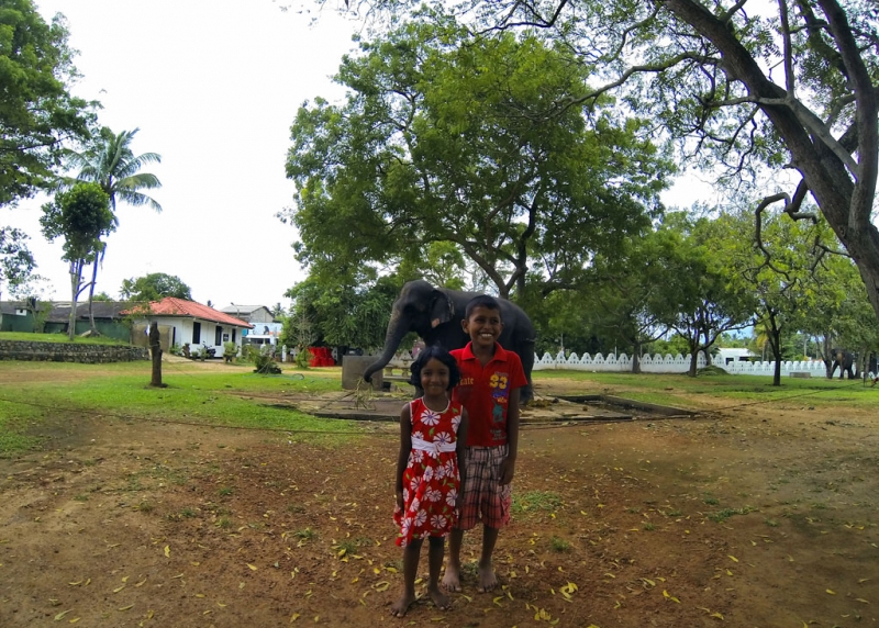 Культурный треугольник на мотобайках + пляжи Хиккадува - Матара (много фото)