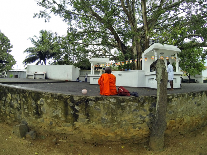 Культурный треугольник на мотобайках + пляжи Хиккадува - Матара (много фото)