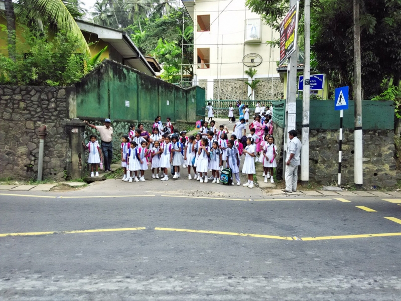 Культурный треугольник на мотобайках + пляжи Хиккадува - Матара (много фото)