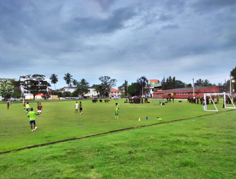 Культурный треугольник на мотобайках + пляжи Хиккадува - Матара (много фото)