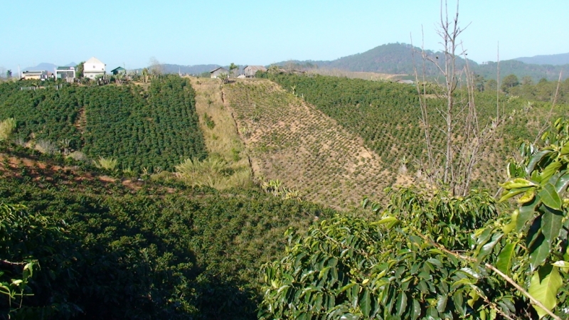 Нячанг с 06.02 по 17.02.15 "пакетом"-делюсь опытом.