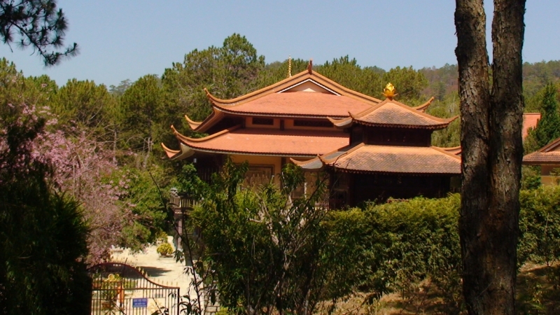 Нячанг с 06.02 по 17.02.15 "пакетом"-делюсь опытом.