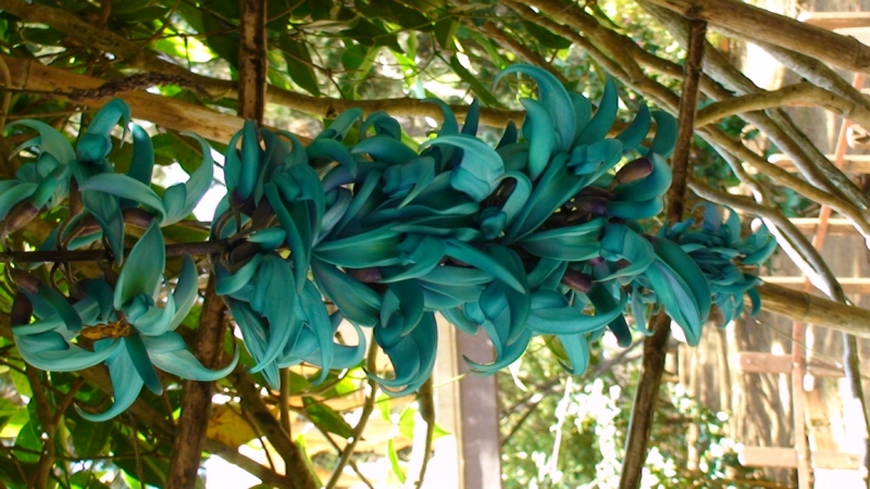 Нячанг с 06.02 по 17.02.15 "пакетом"-делюсь опытом.