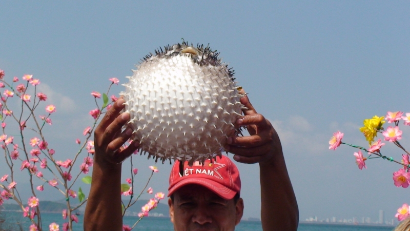 Нячанг с 06.02 по 17.02.15 "пакетом"-делюсь опытом.