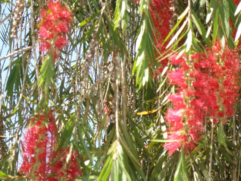 Нячанг с 06.02 по 17.02.15 "пакетом"-делюсь опытом.