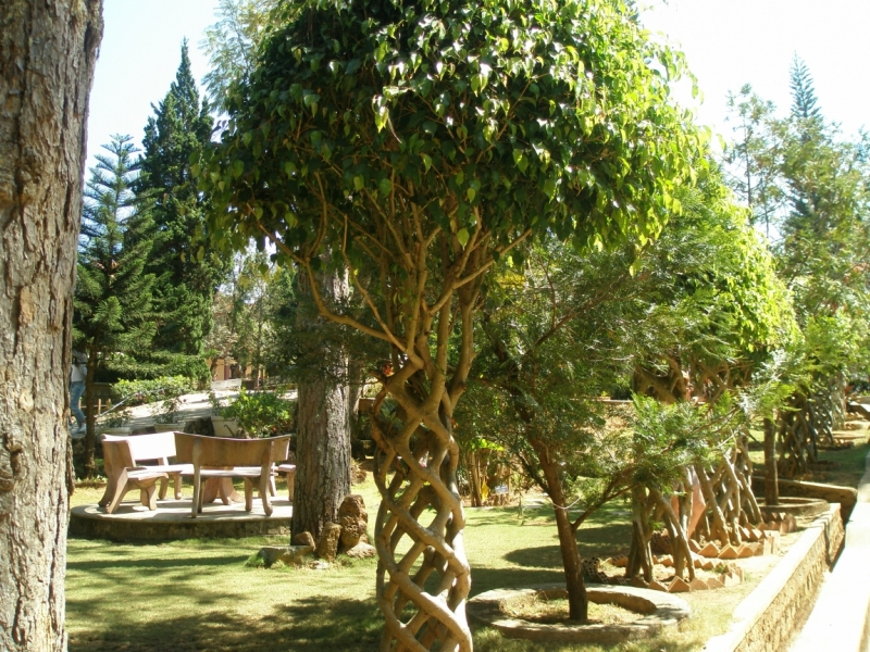 Нячанг с 06.02 по 17.02.15 "пакетом"-делюсь опытом.