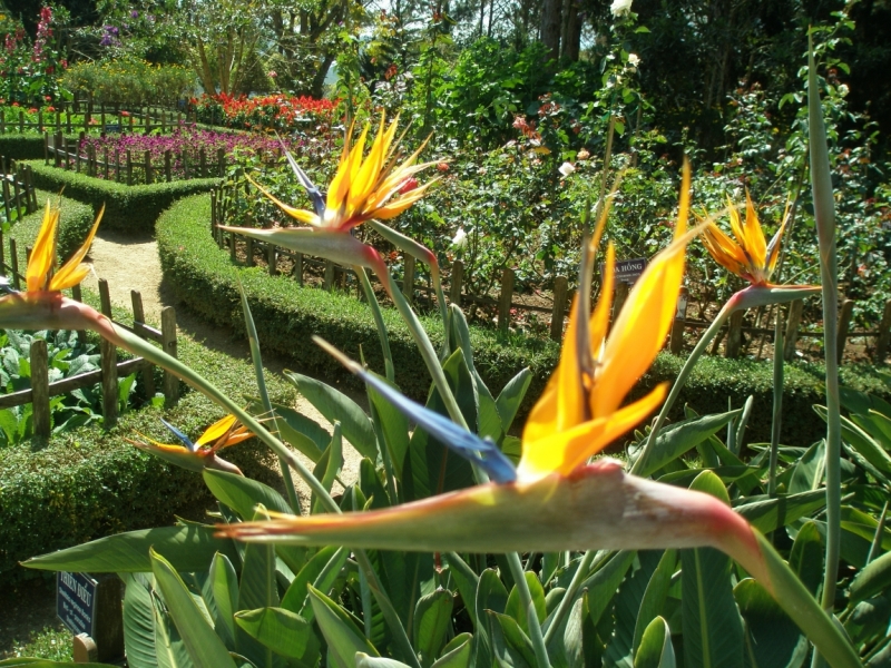 Нячанг с 06.02 по 17.02.15 "пакетом"-делюсь опытом.