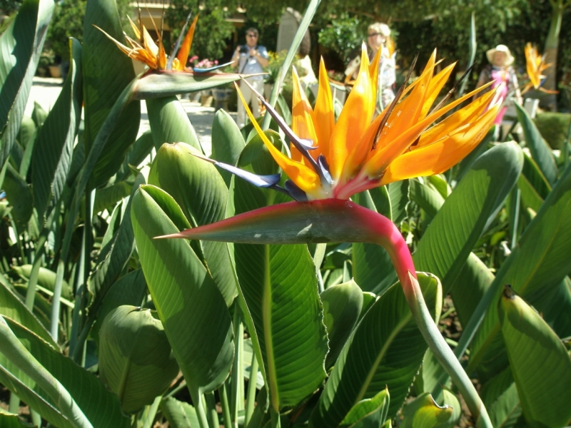 Нячанг с 06.02 по 17.02.15 "пакетом"-делюсь опытом.