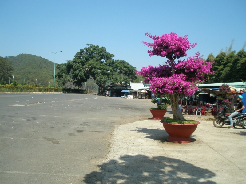 Нячанг с 06.02 по 17.02.15 "пакетом"-делюсь опытом.