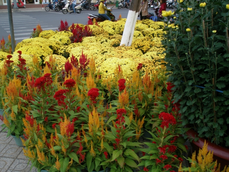 Нячанг с 06.02 по 17.02.15 "пакетом"-делюсь опытом.