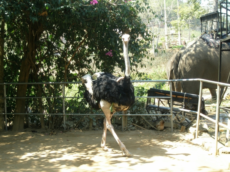 Нячанг с 06.02 по 17.02.15 "пакетом"-делюсь опытом.