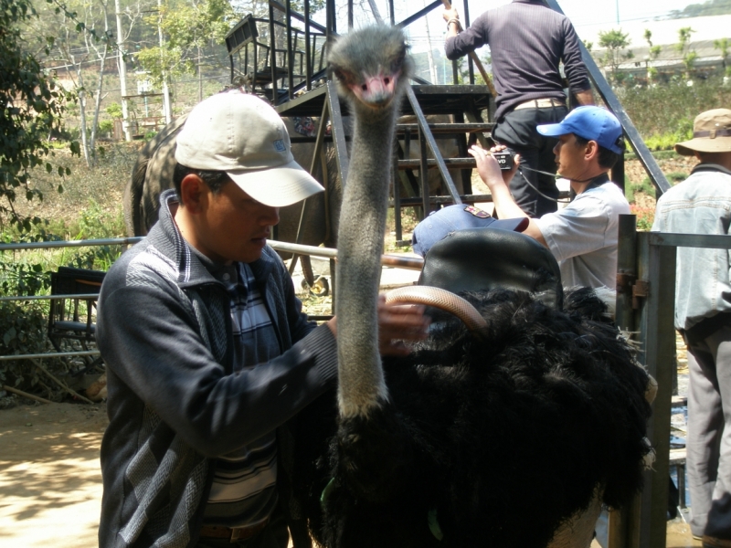 Нячанг с 06.02 по 17.02.15 "пакетом"-делюсь опытом.