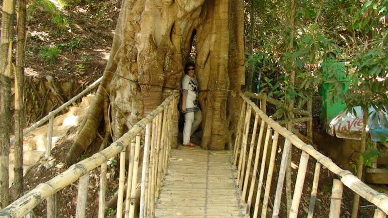 Нячанг с 06.02 по 17.02.15 "пакетом"-делюсь опытом.