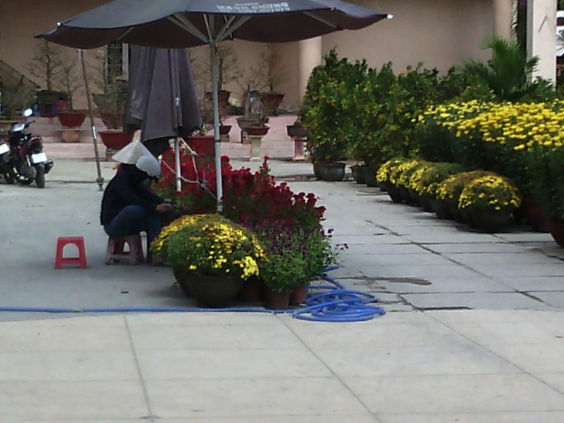 Нячанг с 06.02 по 17.02.15 "пакетом"-делюсь опытом.