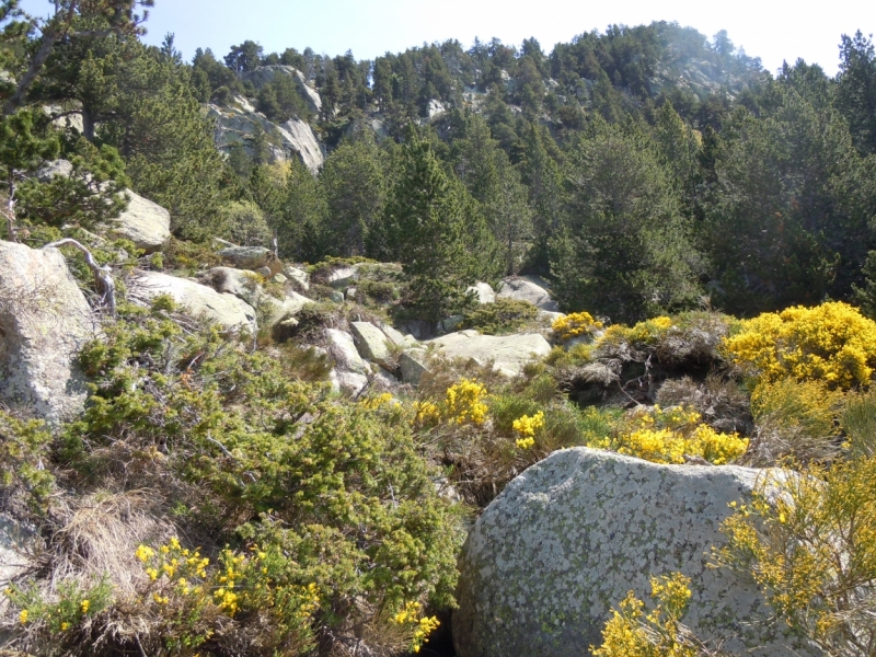 Помогите найти страну по фото