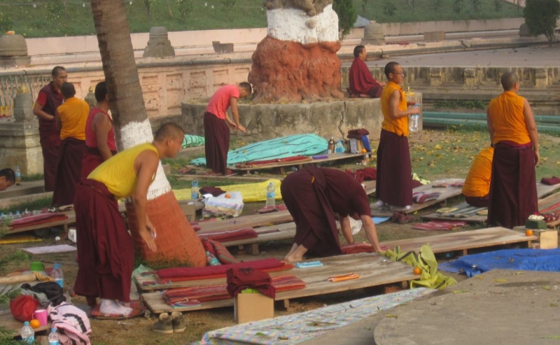 Индия (север: Варанаси, Бодхгая, Дармсала)