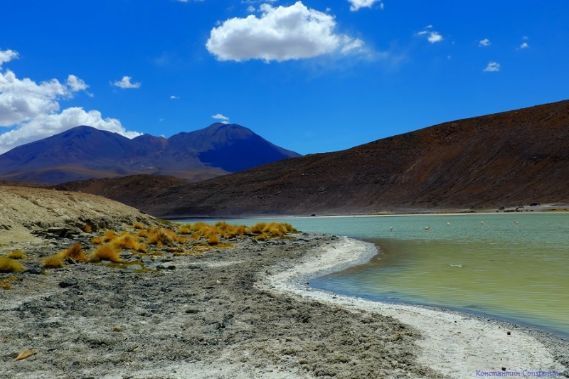 Боливия: с Аргентины в Боливию и обратно за 5 дней: горняшка, море соли без текилы