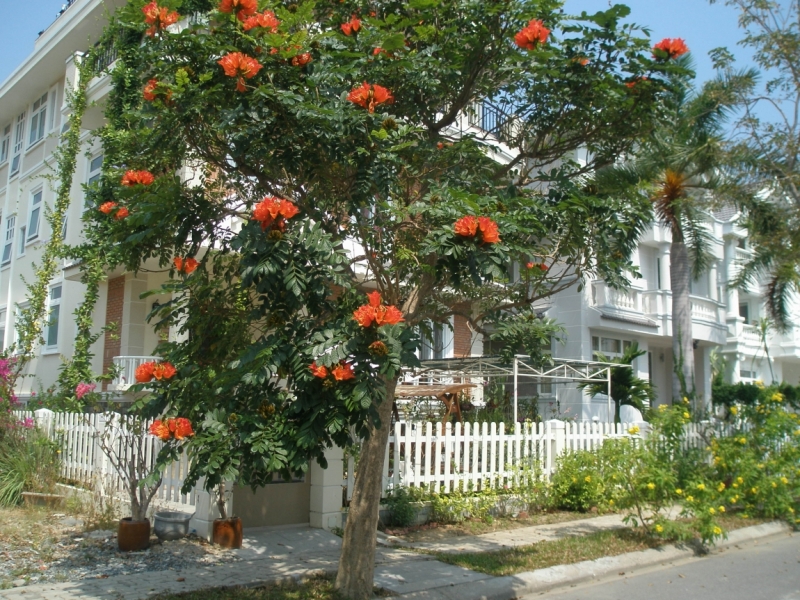 Нячанг с 06.02 по 17.02.15 "пакетом"-делюсь опытом.