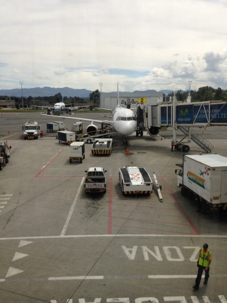 Небо, самолёт, стюардесса. Фото из путешествий - 2