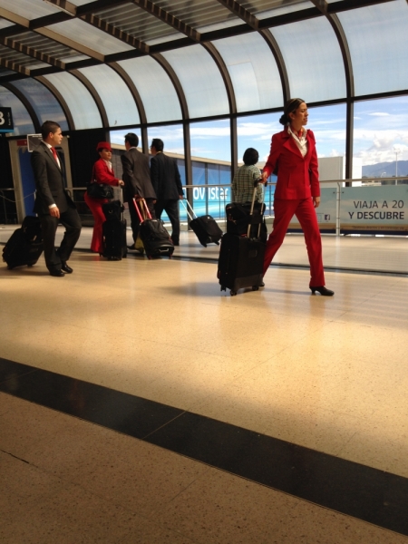 Небо, самолёт, стюардесса. Фото из путешествий - 2