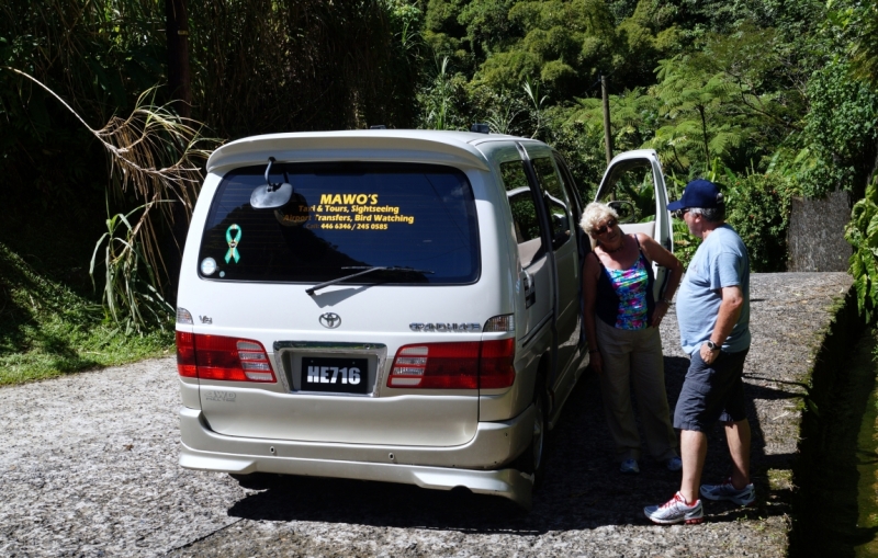Перворазники на Карибах: круиз на P&O Ventura