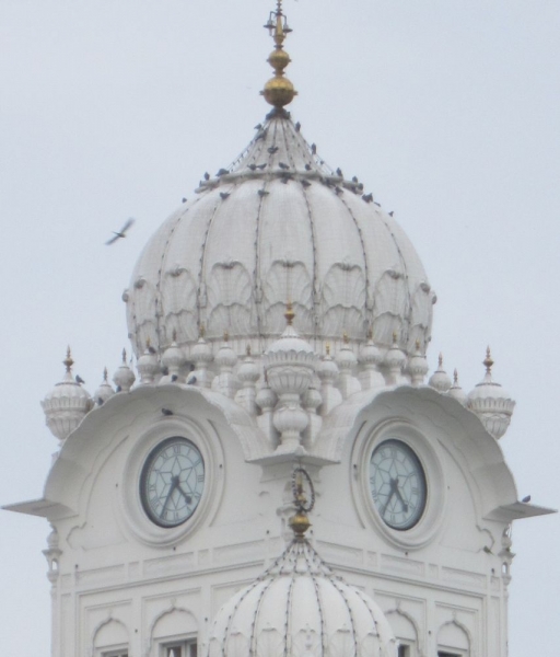 Индия (север: Варанаси, Бодхгая, Дармсала)