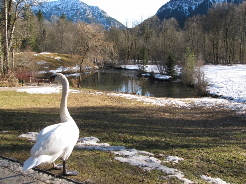 Австрия (Тироль) – Бавария – Швейцария – Прага – Львов.