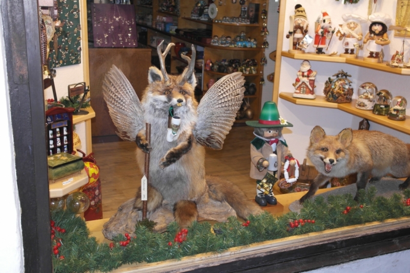 Австрия (Тироль) – Бавария – Швейцария – Прага – Львов.